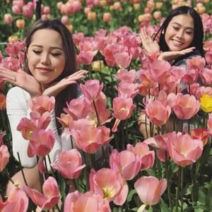 Meet your Posher, Mia